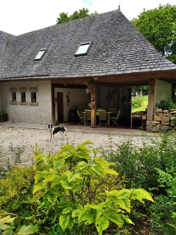 Maison dans un environnement boisé très calme - B&B
