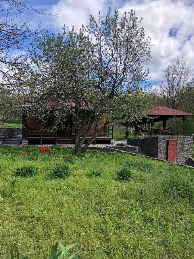 Будинок для відпочинку в лісі - B&B