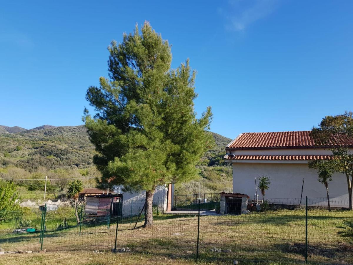 Villetta nel Verde - B&B
