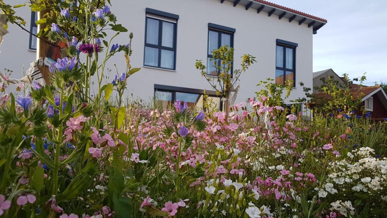 Gästehaus 26/2 - Ferienwohnung