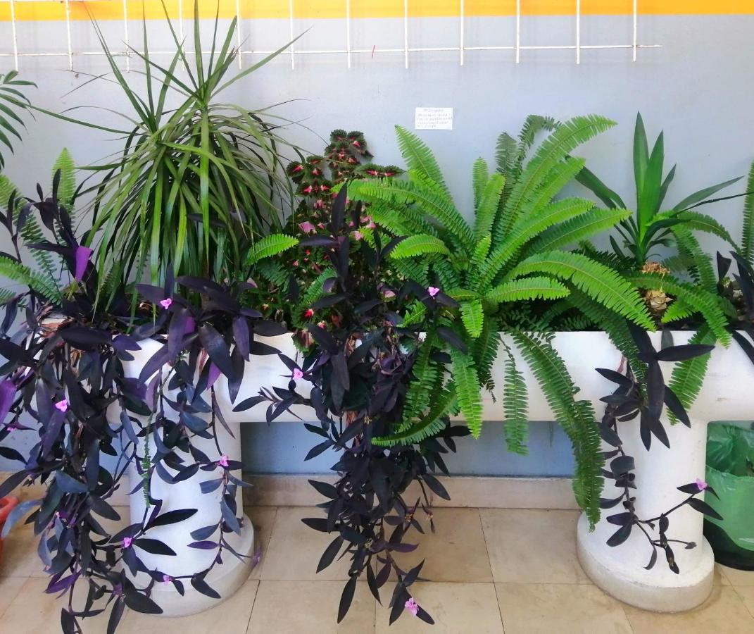 Apartman Monika - B&B Split