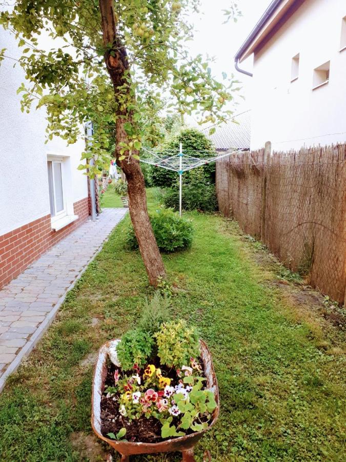 Ubytovanie u Marty - B&B Veľký Meder