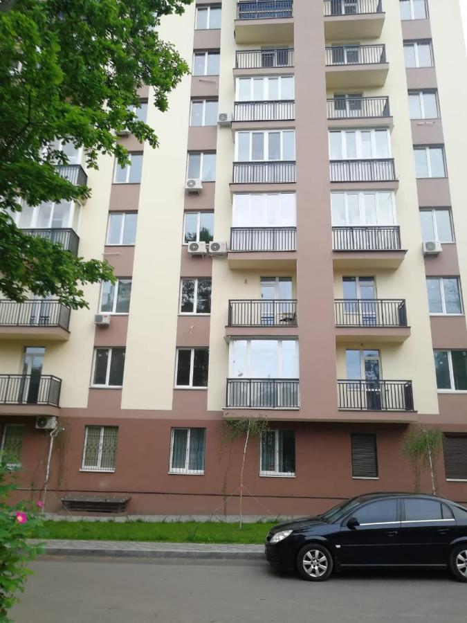 Lux apartment, near metro Vasylkivska - B&B