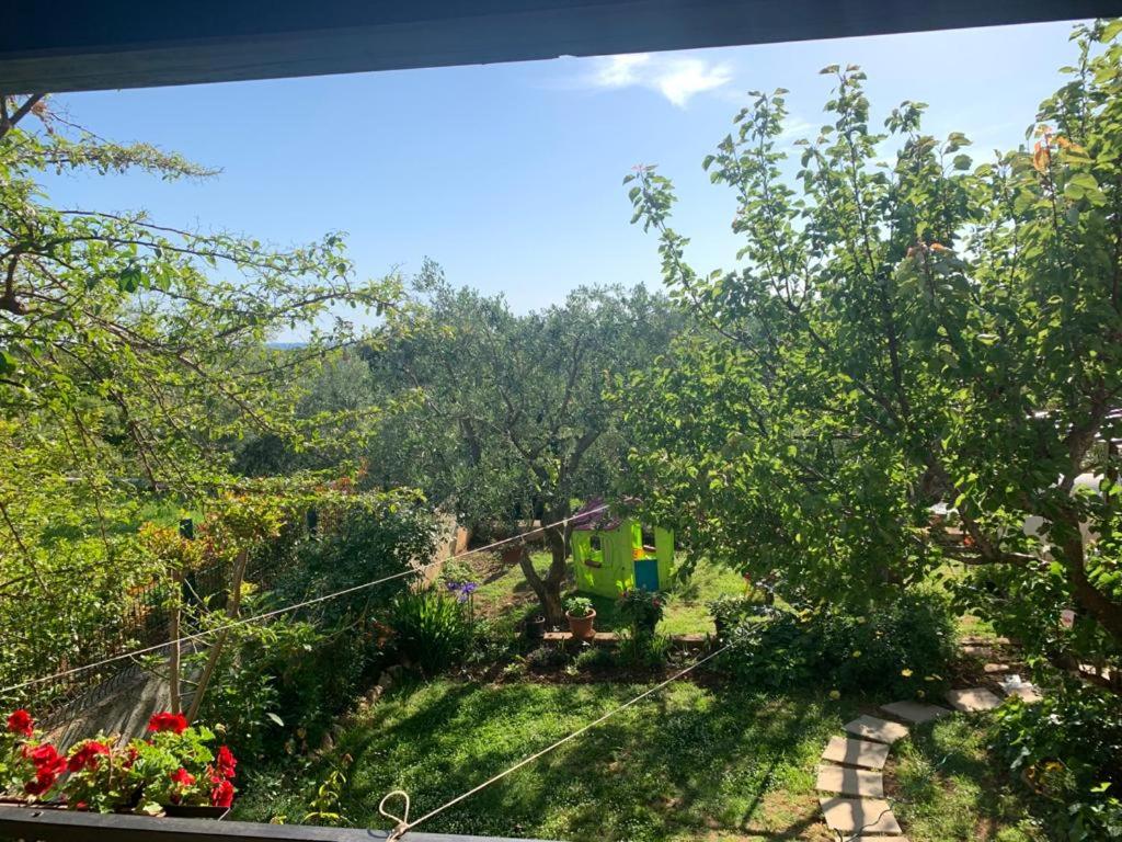 Apartman Dalija - Ferienwohnung