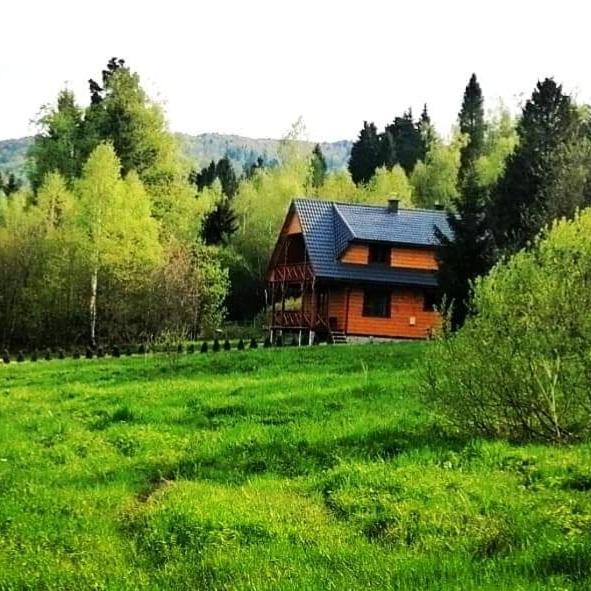 DoMarka całoroczny dom w Bieszczadach - B&B