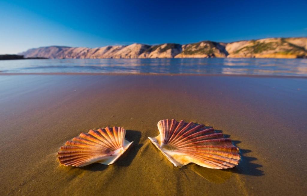 Apartment in Lopar with balcony, air conditioning, W-LAN, washing machine (186-3) - Bed and Breakfast Lopar