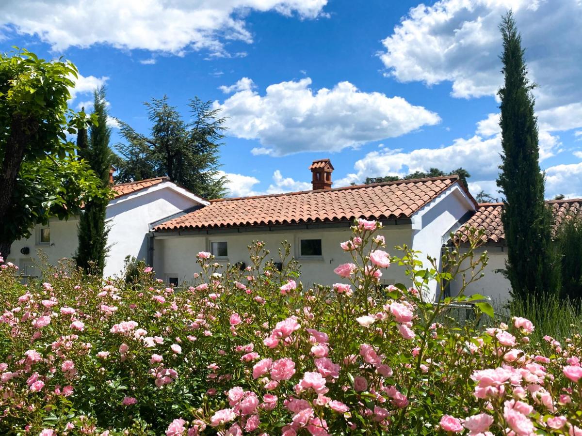 Calma bungalows - B&B