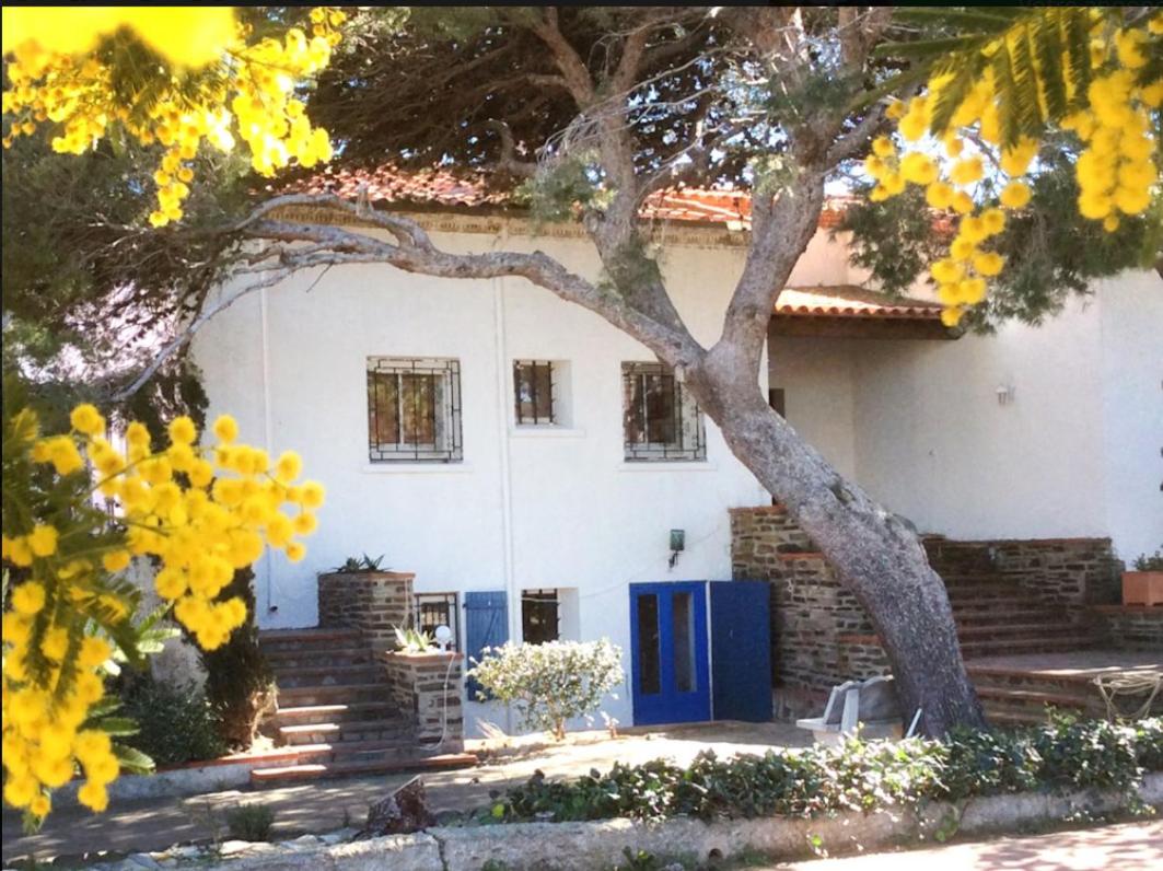 B&B Port-Vendres - VILLA BLEUE - LES PINS - Bed and Breakfast Port-Vendres