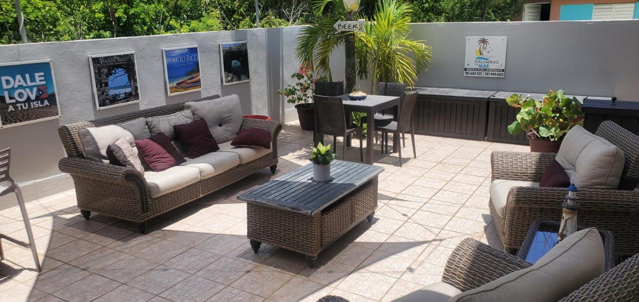 Palmeras Del Mar - B&B