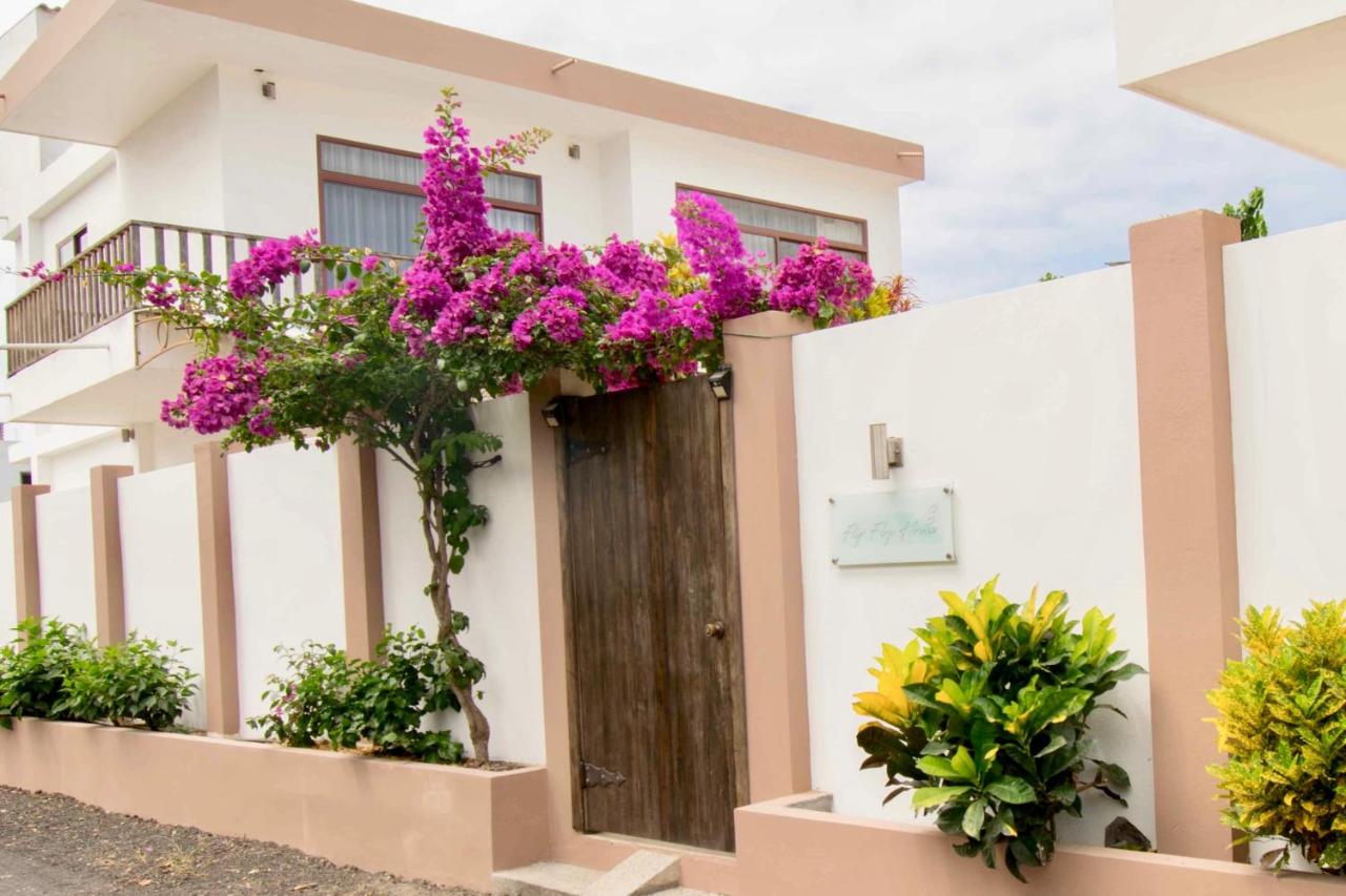 Flip Flop House - Chambres d’hôtes Puerto Villamil