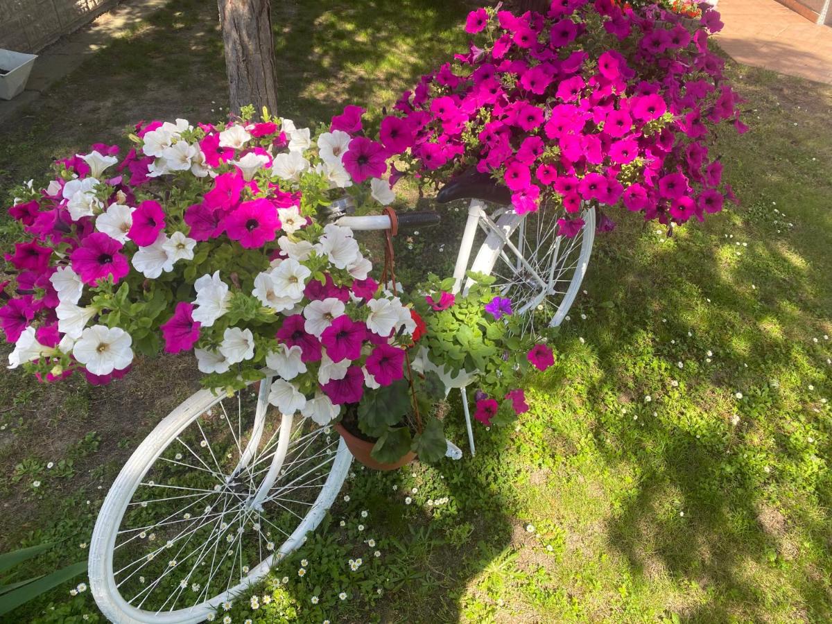 Apartman Mia - Chambres d’hôtes Vukovar