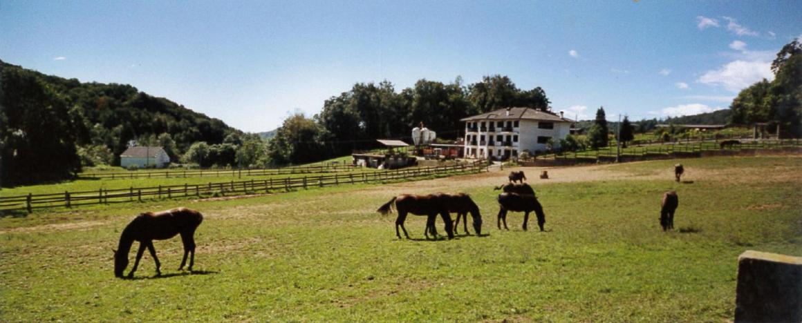 B&B Rueglio - Favetto Family Ranch - Bed and Breakfast Rueglio