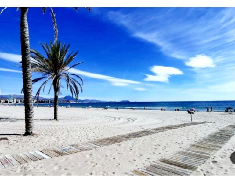 Sunny Duplex in front of Campello beach - B&B