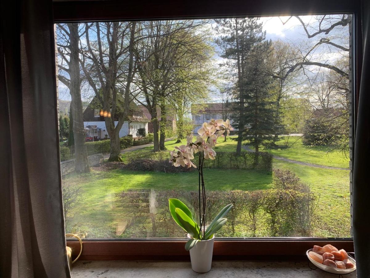 Ferienwohnung Parkblick - Ferienwohnung