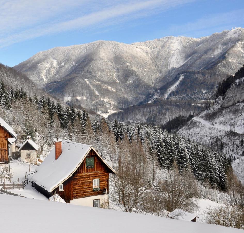 B&B Kleinreifling - Romantische Ferienhütte Ennstaler Nat Kalkalpen bis 6 Personen - Bed and Breakfast Kleinreifling