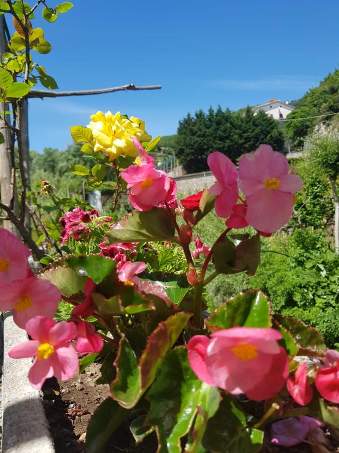 Casa Nonna Anna - B&B