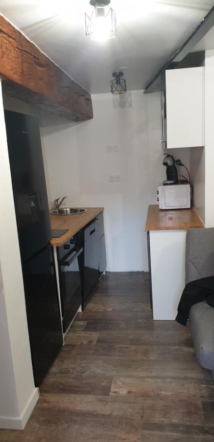 Charmant petit studio proche départ GR20 - Ferienwohnung