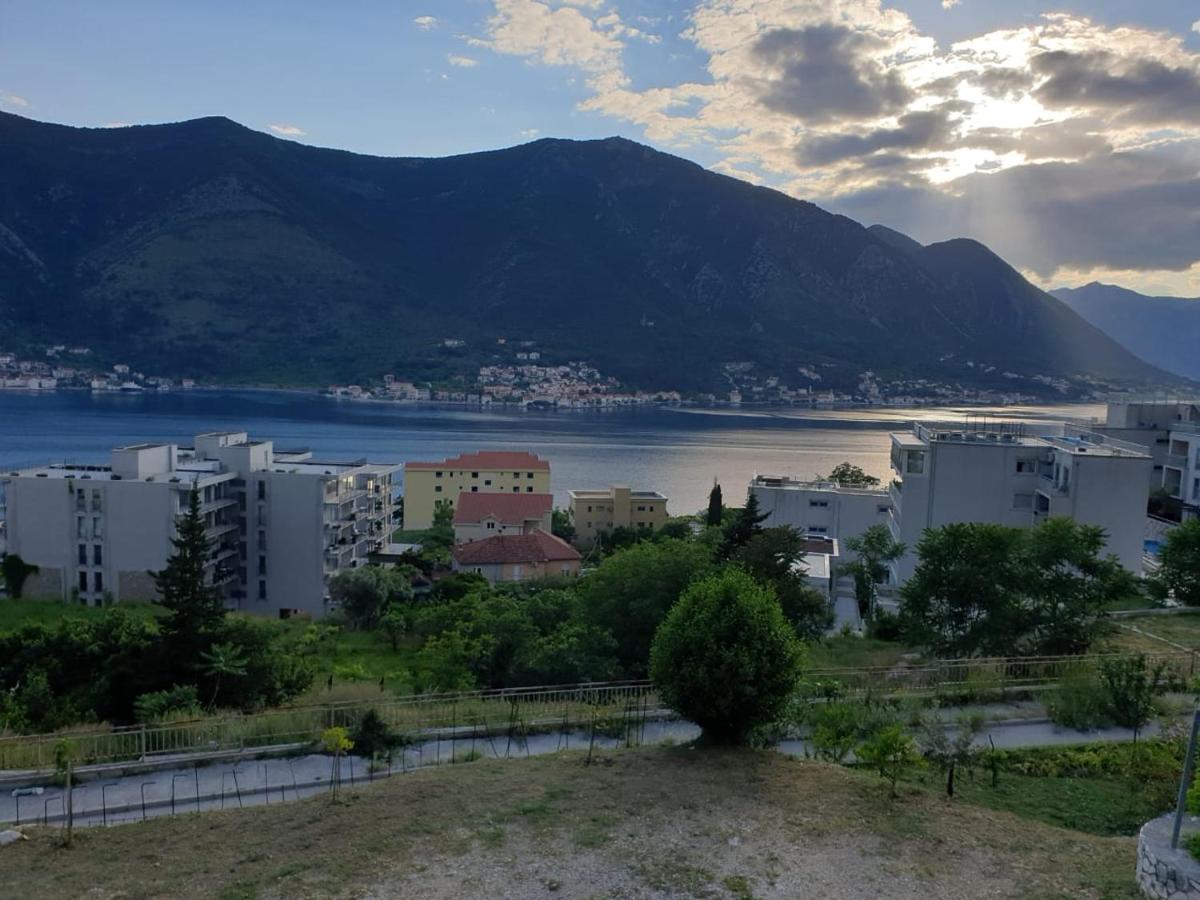 B&B Kotor - Apartment Jelena - Bed and Breakfast Kotor