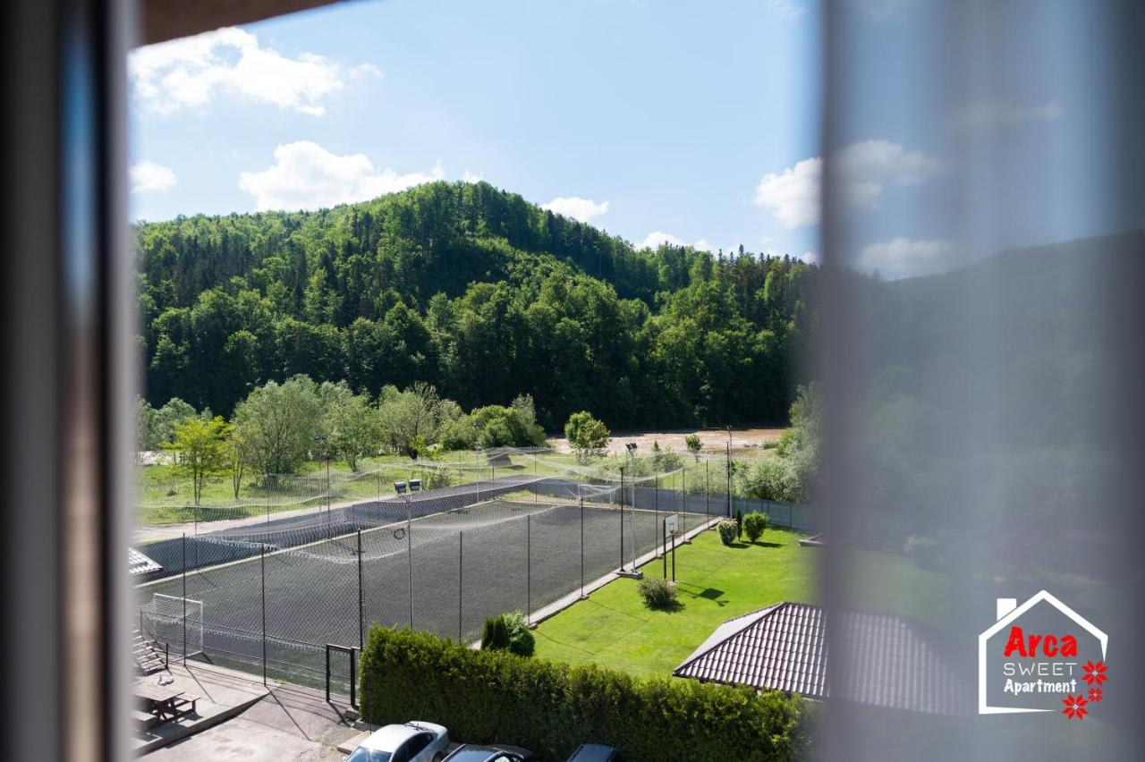 Arca Sweet Apartment Ariniș - B&B