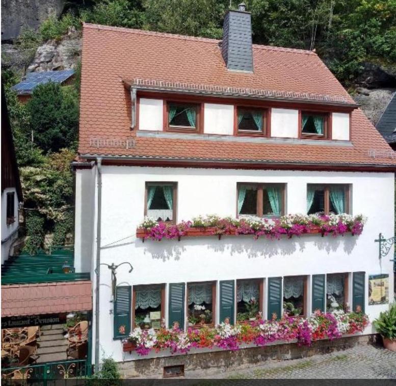 B&B Bad Schandau - Pension Fuhrmann's Elb- Café - Bed and Breakfast Bad Schandau