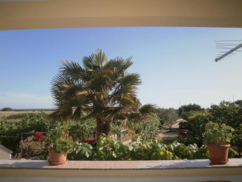 Studio Apartment in Nin with Terrace, Air Conditioning, Wi-Fi (3722-5) - B&B