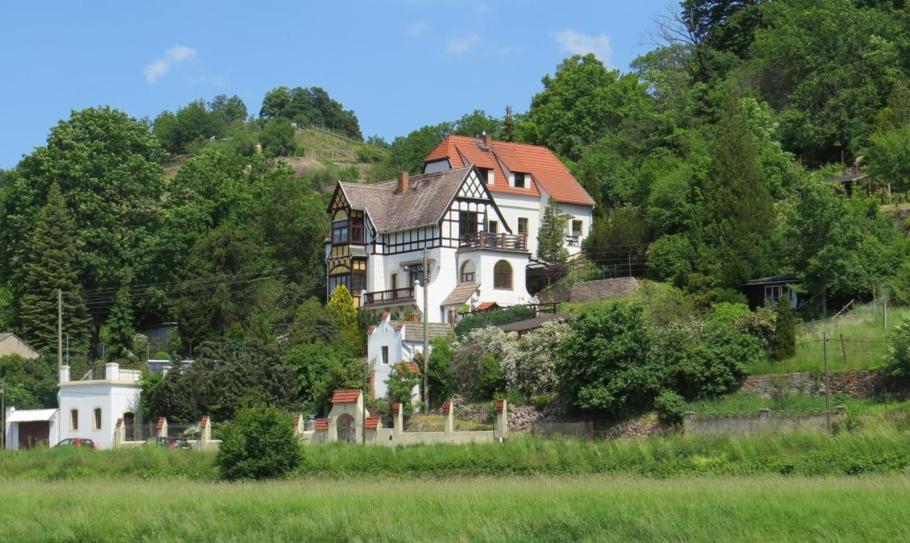 B&B Meissen - Ferienwohnung Elbsommer am Weinberg - Bed and Breakfast Meissen