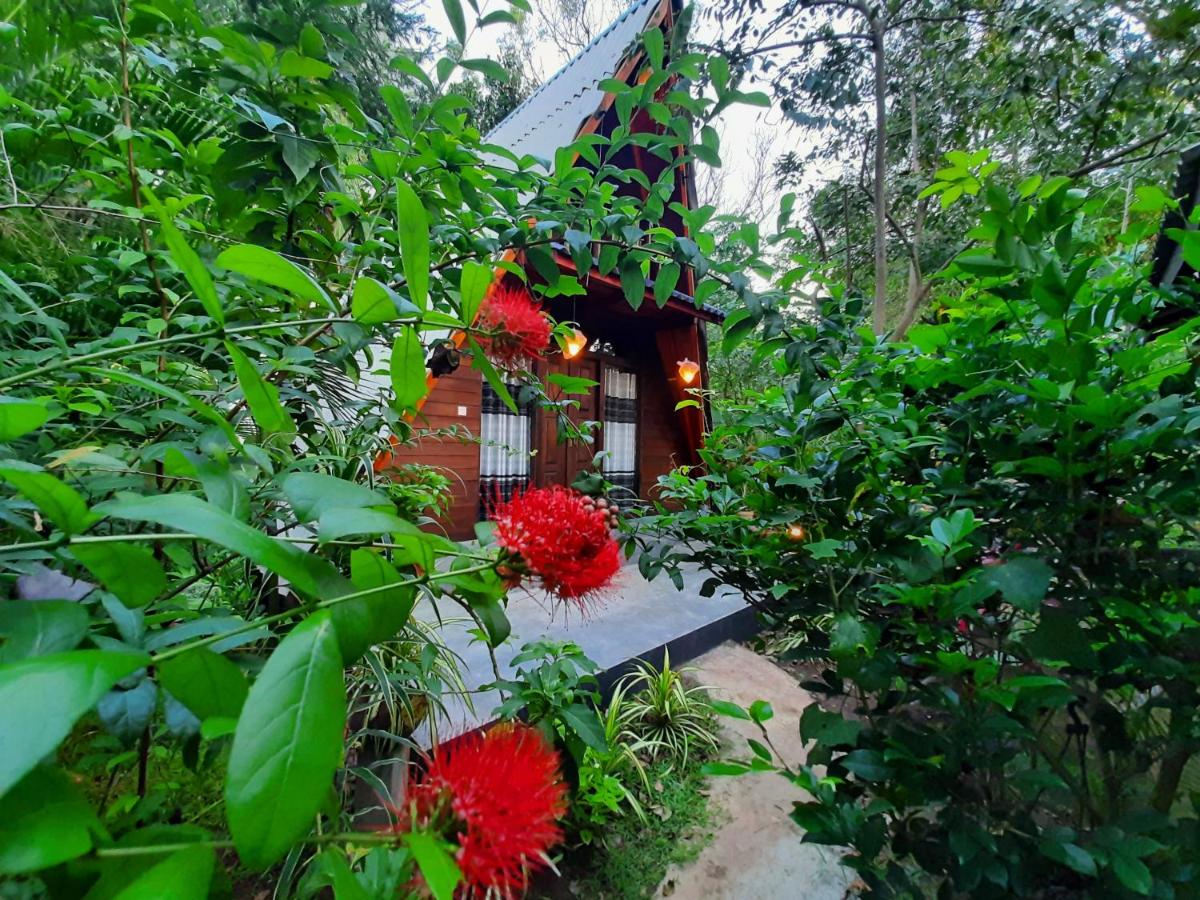 B&B Sigiriya - The Otunna Guest House Sigiriya - Bed and Breakfast Sigiriya