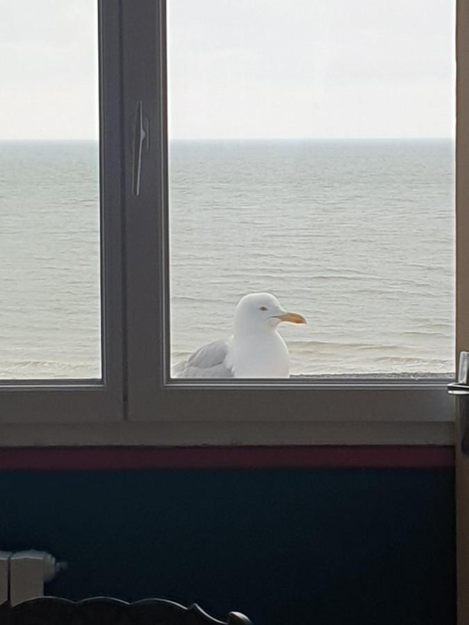 O'2 cailloux - B&B Le Tréport