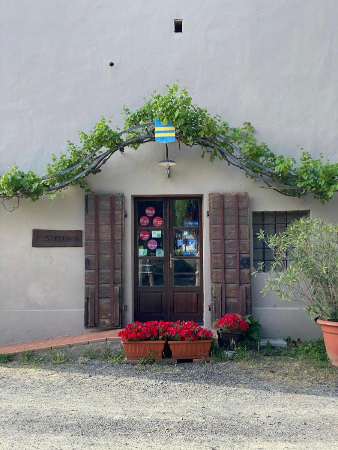 Agriturismo Le Biricoccole - B&B Vada