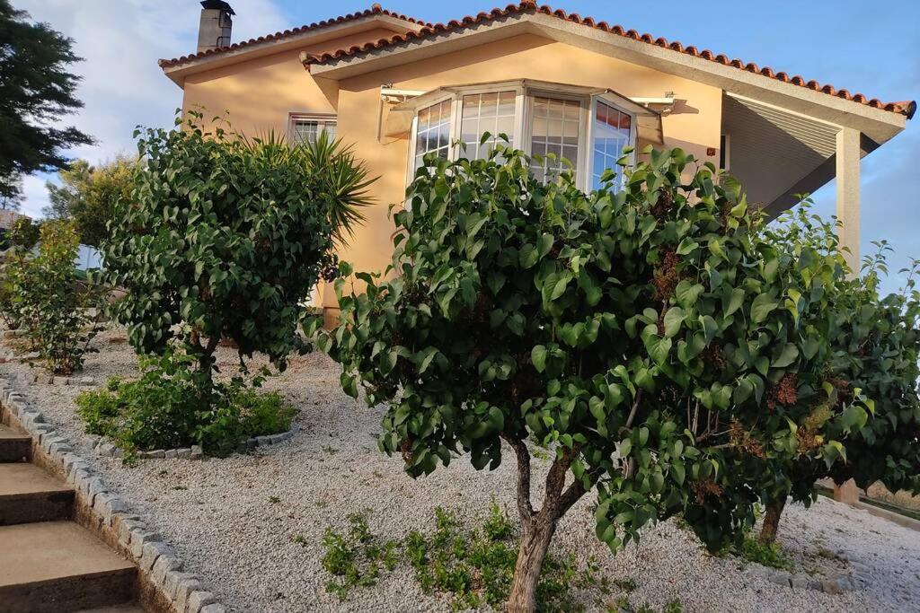 Lugar dos Vales-Memorável, Encantador e Autêntico! - B&B