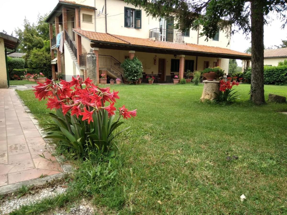 Agriturismo Le Chicche di Mafalda - Bed and Breakfast Montemerano
