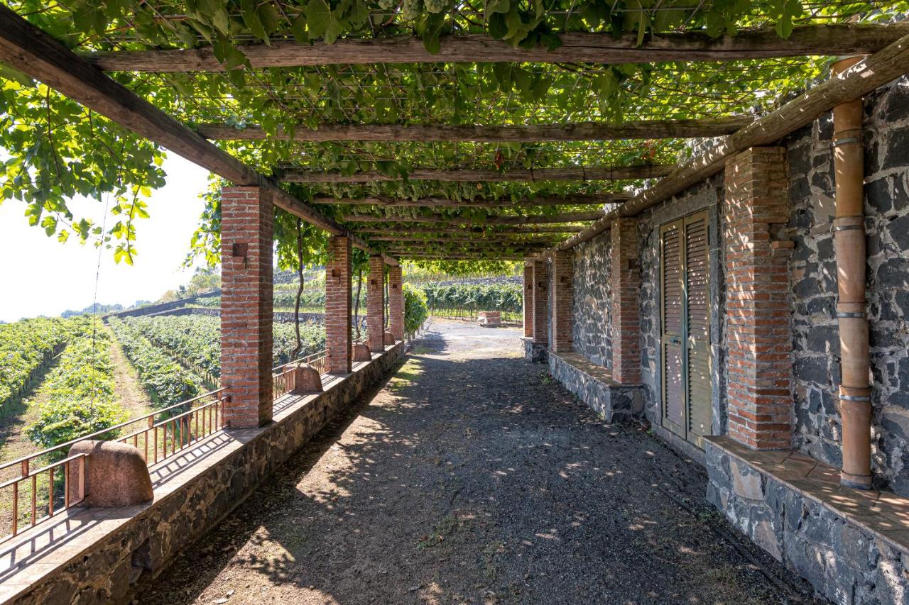 La Gelsomina - Etna - B&B