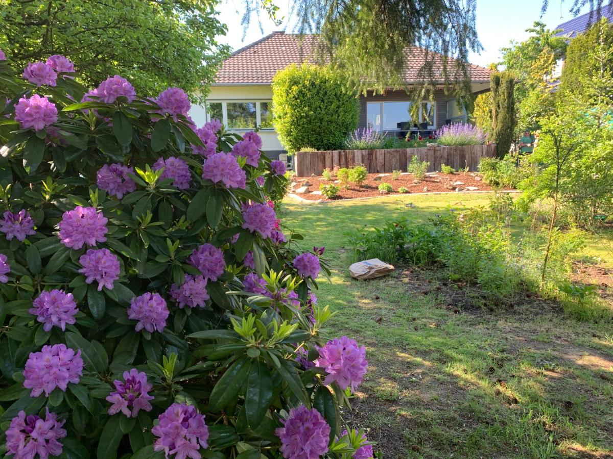 Willa Woiperdinger - Bed and Breakfast