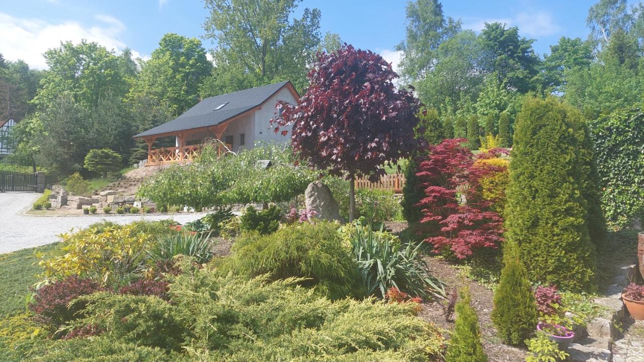 Zielony Zakątek 2 Sosnówka - B&B