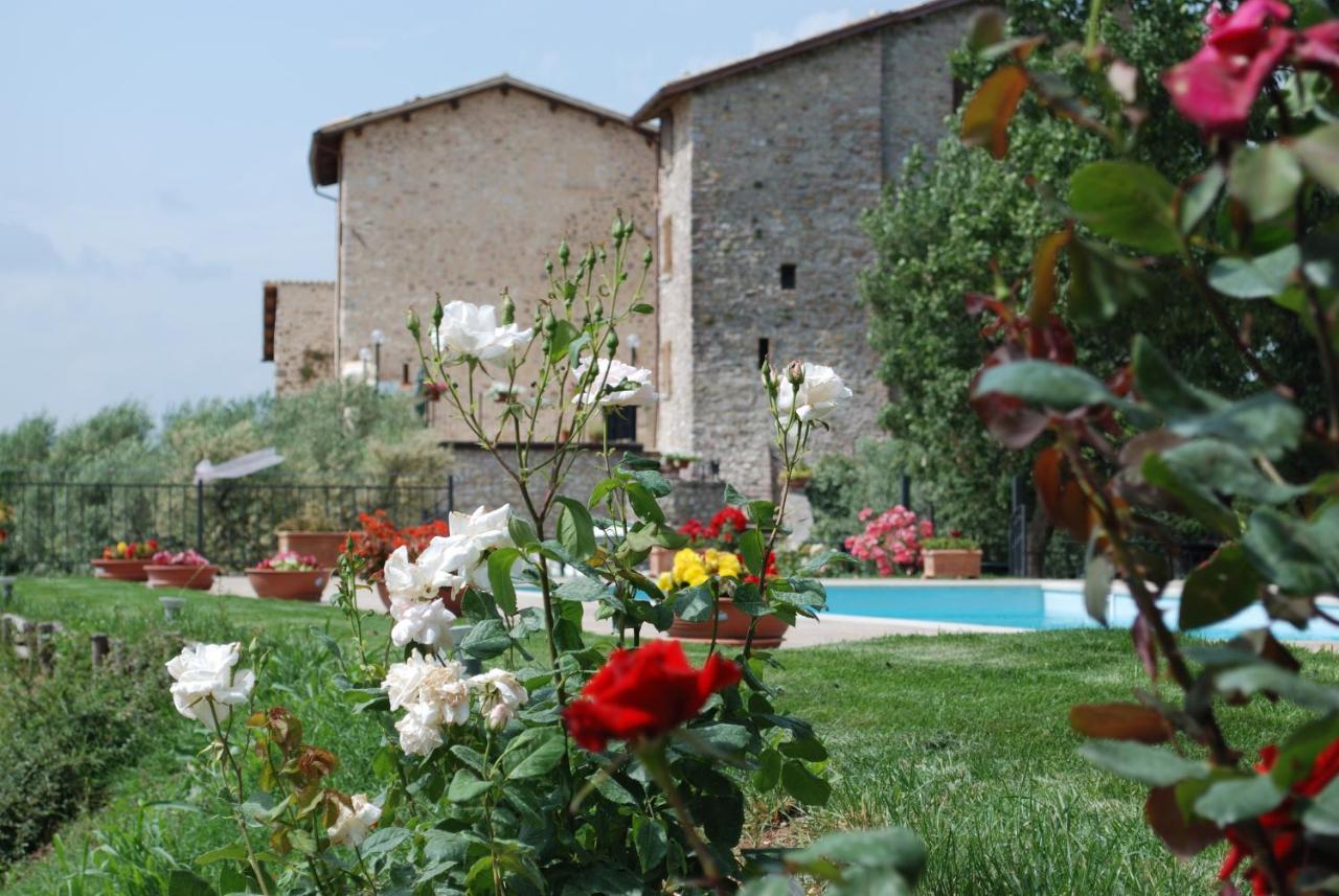 B&B Crocemarroggia - Il Castello Di Perchia - Bed and Breakfast Crocemarroggia