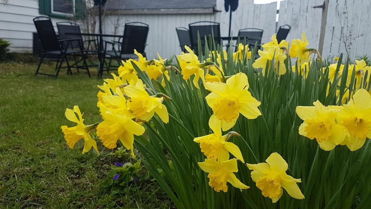 Driftwood Haus - B&B Southampton