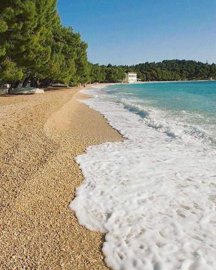 Apartment Matilda - seaview & parking - B&B
