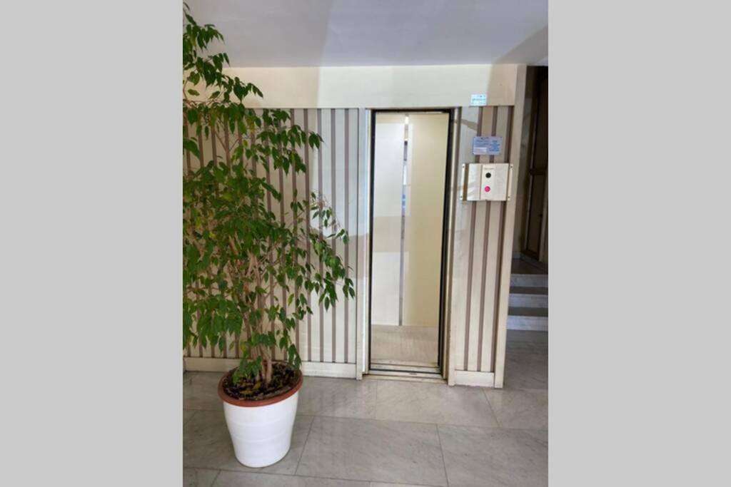 Viareggio Suite a 50 metri dal mare - B&B