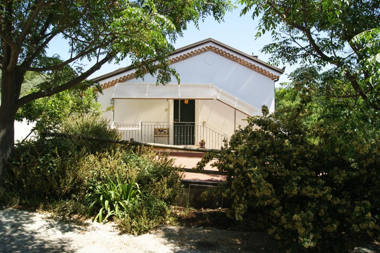 Le tre querce di casa mia - B&B Castellabate