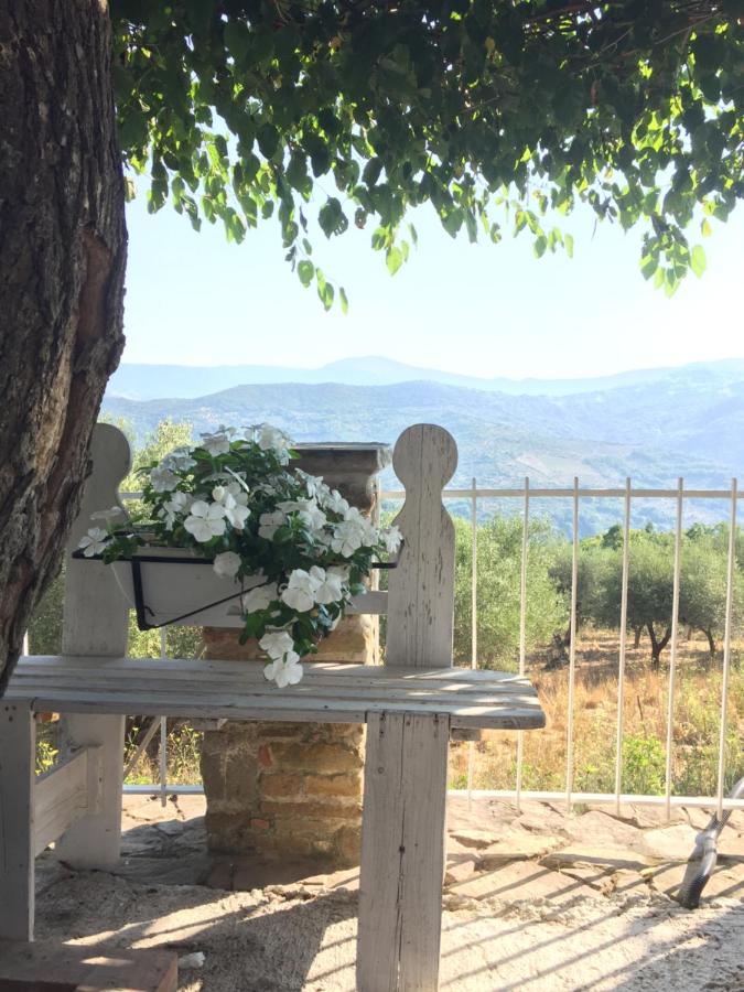 Dolce Luna Casa vacanza - B&B Prignano Cilento