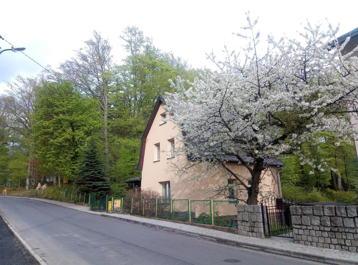 Willa Rozalia - B&B