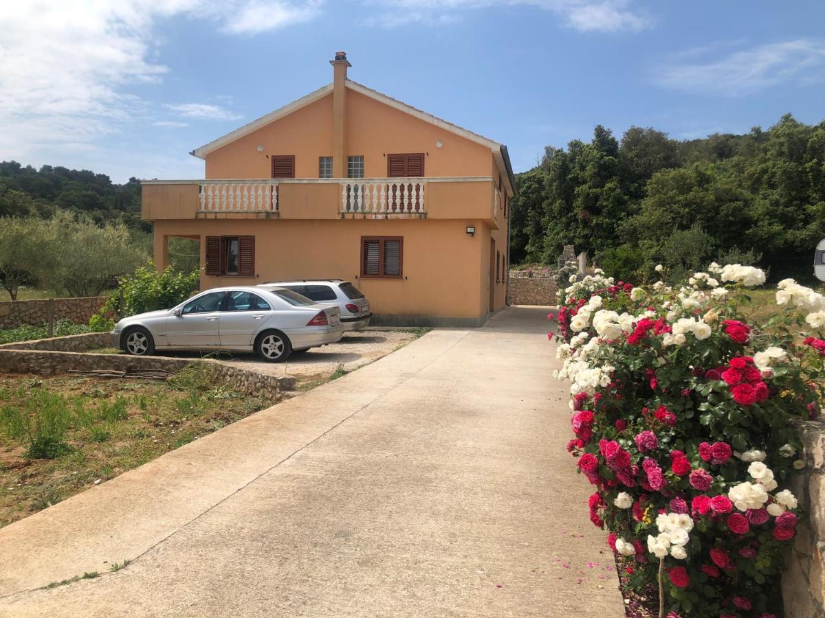 Apartman Sternak - Ferienwohnung