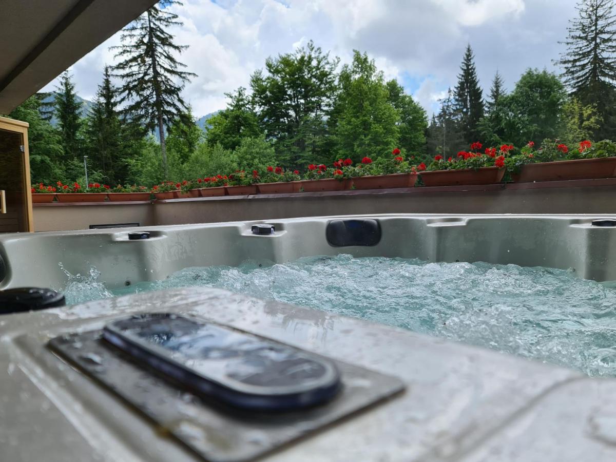 Mariah Spa Deluxe Apartment in SILVER MOUNTAIN - B&B Poiana Brasov