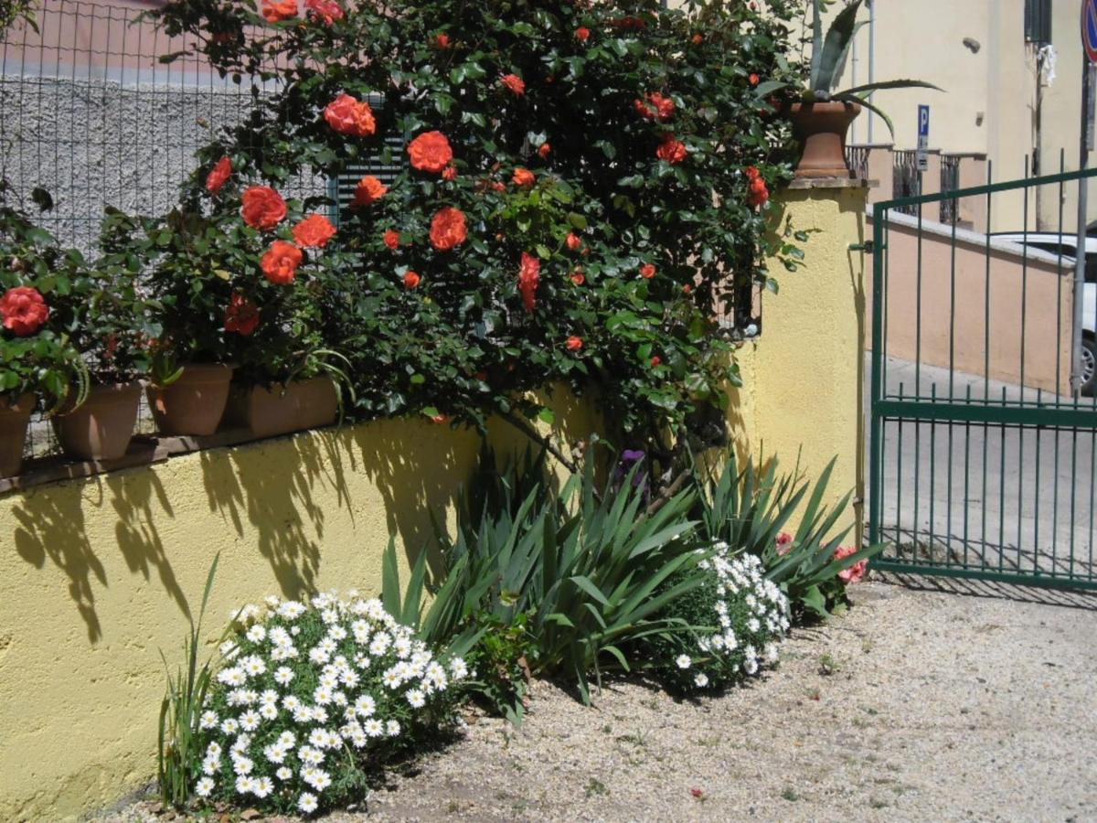 Studio mit Terrasse
