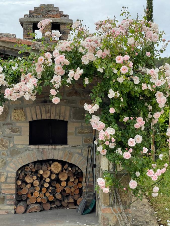 Tenuta San Filippo - Bed and Breakfast Montalcino