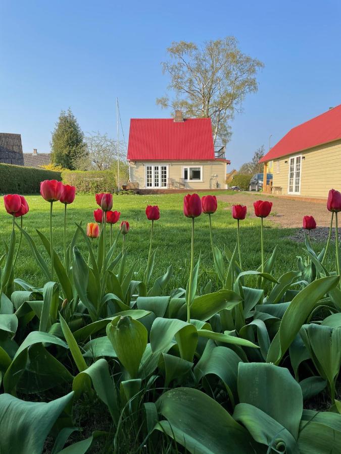 Villa Orissaare - B&B
