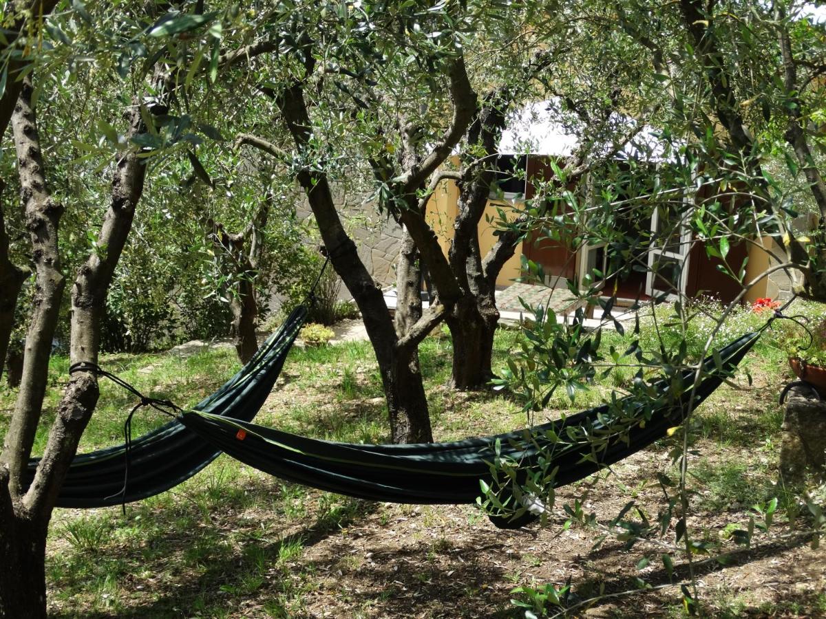 Poggio House, tranquillità e comfort nella natura - Ferienwohnung San Casciano in Val di Pesa