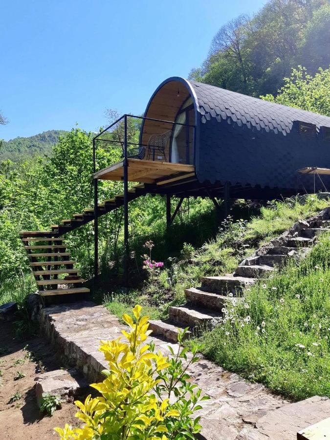 Woodhide - Cottages near Batumi, Georgia - Ferienwohnung Zeda Chkhut’uneti