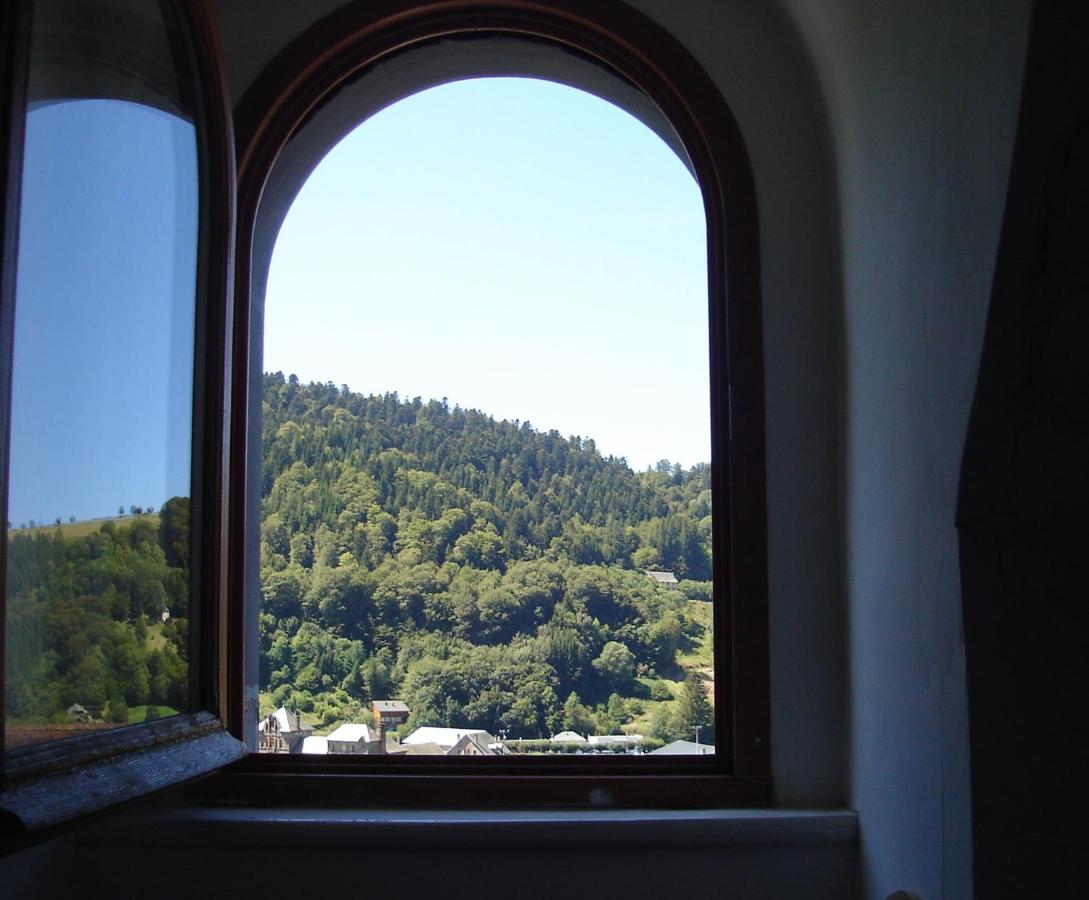 Appartement cosy pour une pause sereine et chaleureuse - B&B Le Mont-Dore