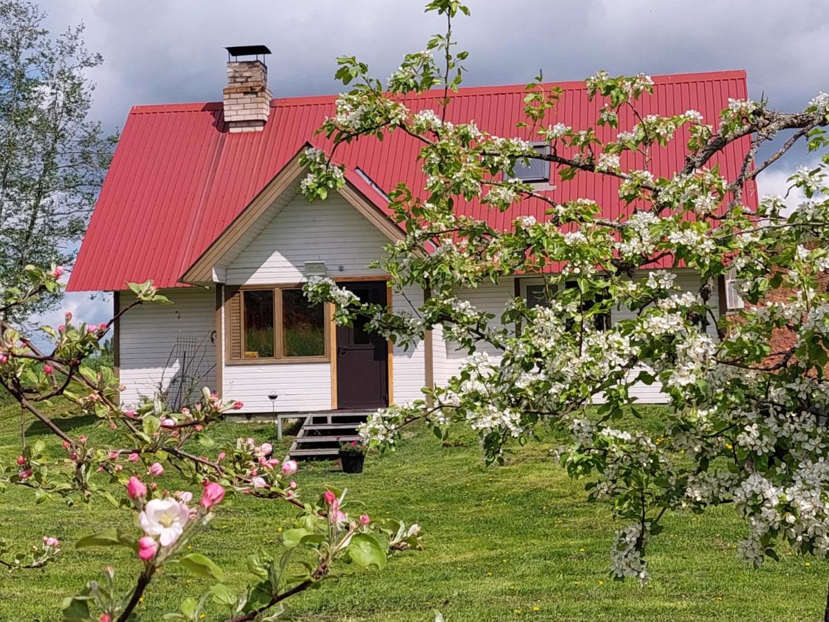 Mesikamäe Saunamaja - B&B Põlva